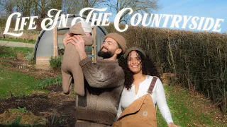 Young Family’s 5-Year Homesteading Journey