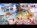 Download Lagu [Vish Nanko LOVER vol.11] \