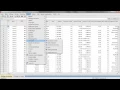 Formation SPSS La Correlation
