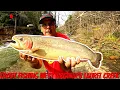 New River Area Trout Fishing Laurel Creek WV