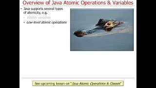 Overview of Java Atomic Operations Variables