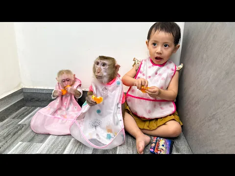 Download MP3 Monkey Kaka + Diem and Monkey Mit: The Ultimate Cuteness in Bibs!