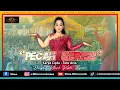 Download Lagu NINA MINCREUNK - PECAH SERIBU (ELVY SUKAESIH) || FEAT IBAS PRODUCTION || LIVE SHOW CIHIDEUNG 2022.