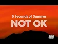 5 Seconds of Summer - NOT OK (Lyrics)