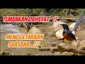 Download Lagu Tembakan dan kretekan menggetarkan suasana membuat emosi semua yang ada