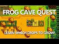 How to Complete the Frog Cave Quest Stardew Valley 1 5
