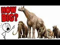 The Largest Cenozoic Animals Ever Discovered