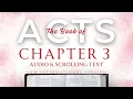 The Book of Acts Chapter 3 NIV