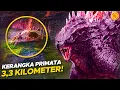 Download Lagu Misteri Kerangka Titan Raksasa Ini Terbongkar! | GODZILLA X KONG