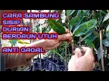 Download Lagu Cara sambung sisip durian berdaun utuh anti gagal