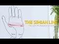 Palmistry - Understanding the SIMIAN line Indecisive Extreme Personality