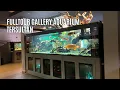 Download Lagu MASUK GALLERY AQUARIUM TERMEWAH!! Koleksi Rumah Mayin Gak Ngotak!