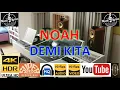 Download Lagu NOAH - 'Demi Kita' M/V Lyrics UHD 4K Original ter_jernih