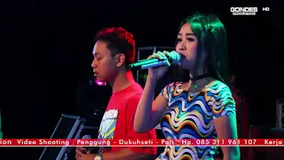 new vaganza puncel 07