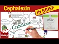 Cephalexin Keflex What is Cephalexin Used For Dosage Side Effects Precautions
