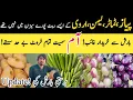 Download Lagu Piyaz 🧅, Tamato, Lemon 🍋,Arvi,k esy rate pory sezan,main nai the ||@kharramunda 