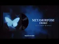 Metamorfose - Dreko & ProdbySnow