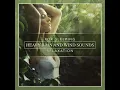 Heavy Rain and Wind Sounds for Sleeping & Relaxation
