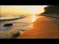 Download Lagu sangat sad😢 Dj ngana so pigi deng dia - Viral tiktok (versi slow) - (Zein fvnky)