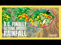 Much-needed rain and thunderstorms to arrive in B C this weekend