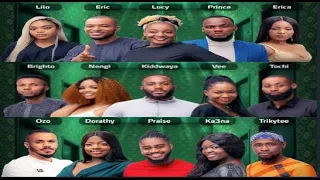 meet the housemates bbnaija season 5 launch show