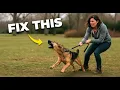 I Trained 1000 Reactive Dogs and Learned THIS