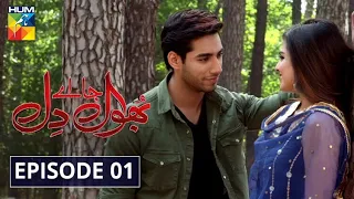 bhool jaa ay dil episode 1 hum tv drama 16 november 2020