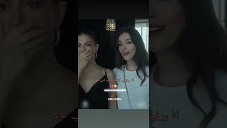 اكلك منين ياقطه هيفاء وهبي Trending Shortvideo 2026 Youtubeshorts Shorts Shortvideo Short 