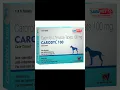 painkiller tablet carprofen in dog