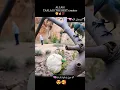 Download Lagu ||ye qeeda allah kary 🕋||#status #ytshorts ||trending ||tiktok ||youtubeshorts #shortsfeed || shorts