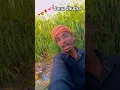 Download Lagu pagal Banai be ka re patarki Khesari Lal Yadav#ke#hit#song#shorts#video#vairal#bhojpuri#song💗💗