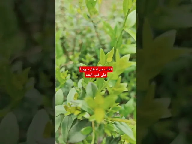 ⁣هل سمعت بهذا العطاء من قبل؟