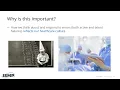 Human Factors Role and Considerations in Drug Labeling and Packaging