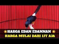 Download Lagu APDET STOK ‼️MURAI BATU DIAKHIR BULAN AGUSTUS POKOK NYA BUKIN PUSING KEPALA
