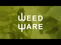 Download Lagu WEEDWARE PROJECTS