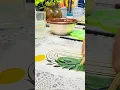 Trust the process Easy boho Painting for beginners Easy to draw paint this Art Art by Rohini