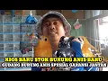 Lagu GUDANGNYA BURUNG ANIS GARANSI JANTAN!!UPDATE HARGA BURUNG DIKIOS NYX BIRD/RAJA TELER PB.PRAMUKA