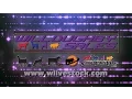 Willoughby Sales Winners