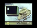Monty Python s Flying Circus Theme Edit Opening Credits - Series 4