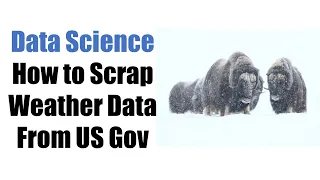 Freelancer Project Python Weather Data Analysis XML Scraping Matplotlib