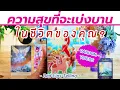 Download Lagu ความสุขที่จะเบ่งบานในชีวิตของคุณ? [ Timeless ]