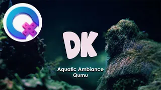 Donkey Kong Country Aquatic Ambiance Remix 