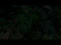 DJ Staatic x AYA NAKAMURA - La pétasse [ZOUK REMIX] 2026