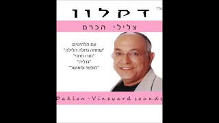 דקלון שמחה גדולה הלילה 