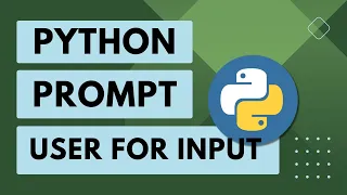 3 Python Basics Prompt user for input