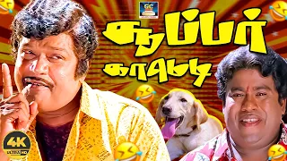 ரெண்டு நாய்ங்க மத்தியில மாட்டிட்டு முழிக்கிறேனே 😬😂 | #senthilcomedy #goundamanicomedyscene | 4K