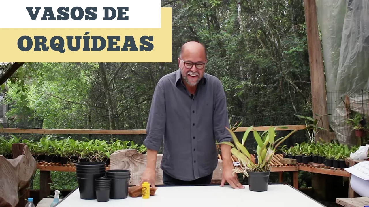 COMO PLANTAR ORQUIDEAS EM VASOS