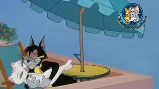 اه من المكتوب عليا تامر عاشور 