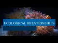 BIOLOGY WITH MR TANCIN ECOLOGICAL RELATIONSHIPS