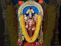 Download Lagu Srinivasa govinda sri venkatesha govinda 🙏🌺 #balaji #govinda #song #god